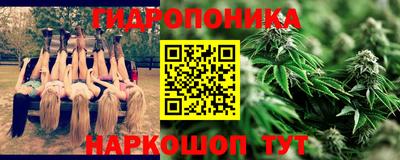 индика Нальчик