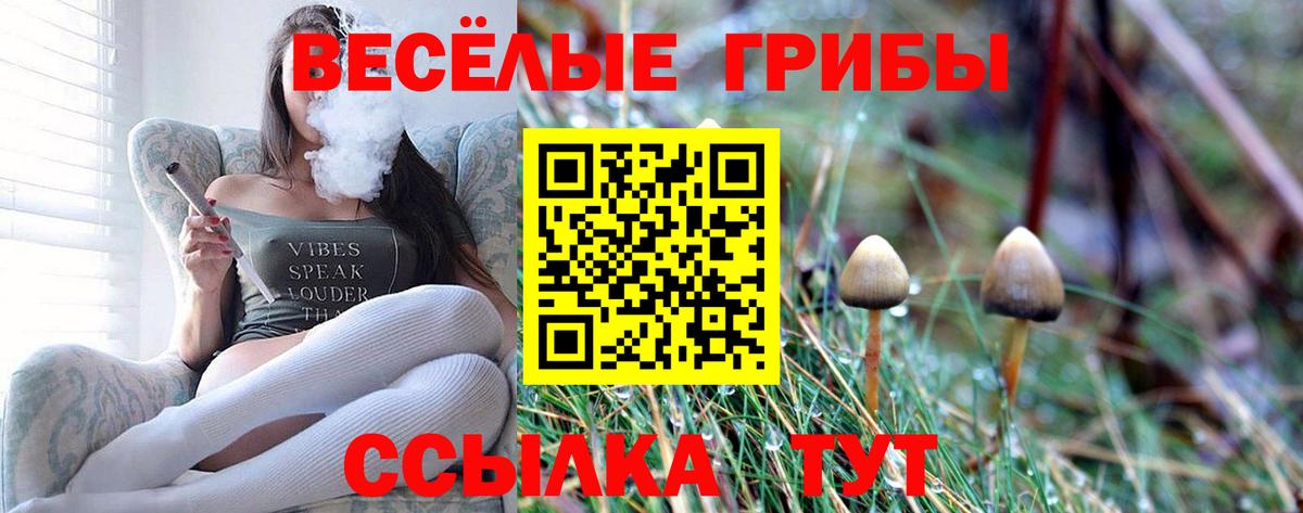 Балтийск  Галлюциногенные грибы Psilocybine cubensis  наркота  Псилоцибиновые грибы Psilocybe  Вход с VPN 