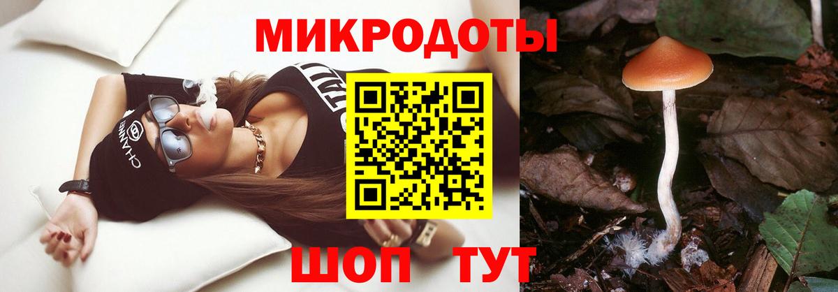 Галлюциногенные грибы MAGIC MUSHROOMS Балтийск